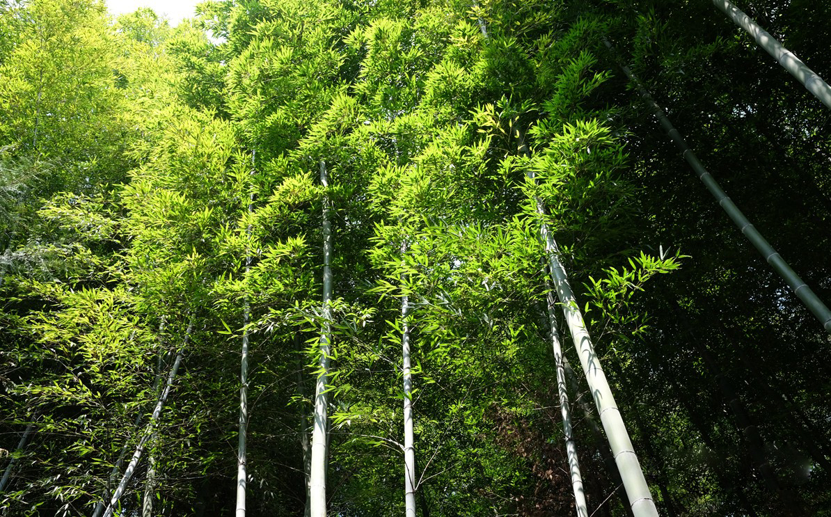 2025 건강도시 스탬프 투어