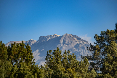 임업직불금 신청하기