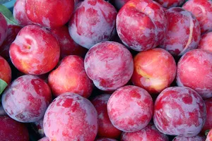 갱년기에-좋은-식품-음식