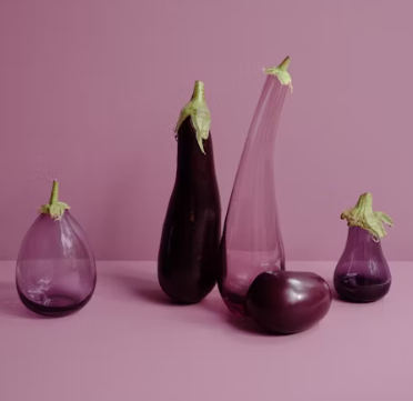 가지 효능 놀라운 9가지 부작용 고르는법 칼로리