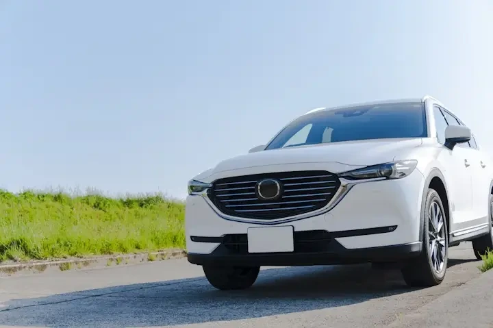 자동차(택시 또는 렌터카)로 이동하는 방법