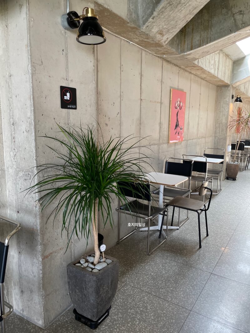 김포 대형 베이커리 카페 아보고가 김포 핫플 벽 좌석