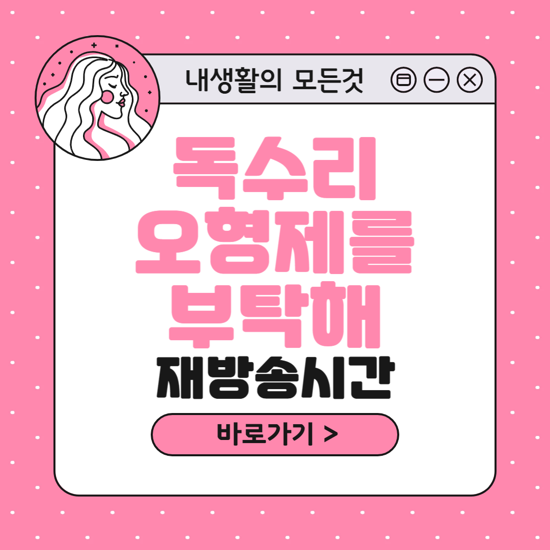 독수리 오형제를 부탁해 재방송 다시보기