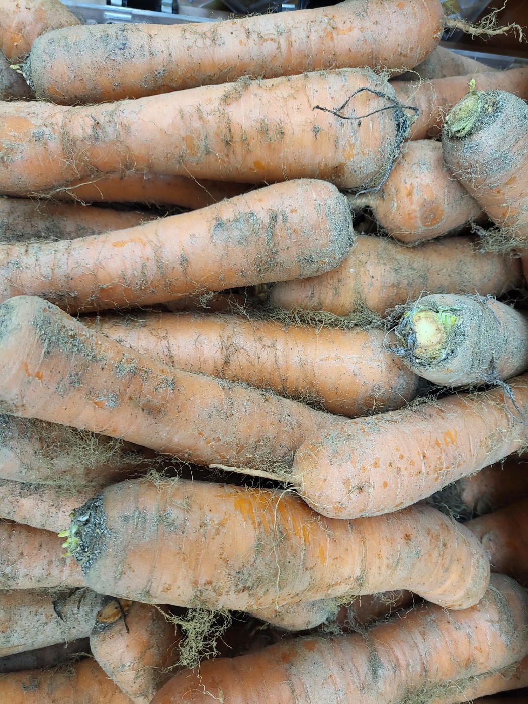 흙이 묻은 당근을 사서 씻어 먹는게 좋아요.