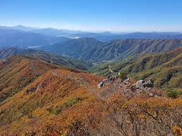 대봉산 단풍명소