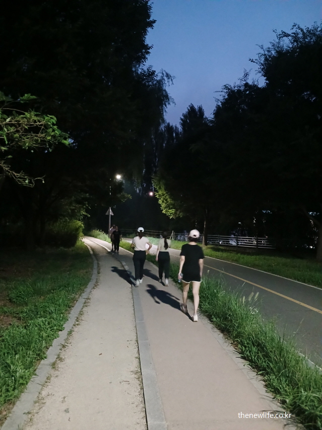 저녁 시간 공원에서 여러 명이 걷기 운동을 하고 있는 모습 – 소금 부족 증상을 상징하는 이미지