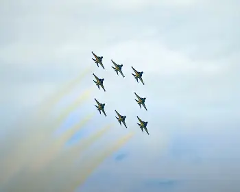 세종 축제 블랙 이글스_1