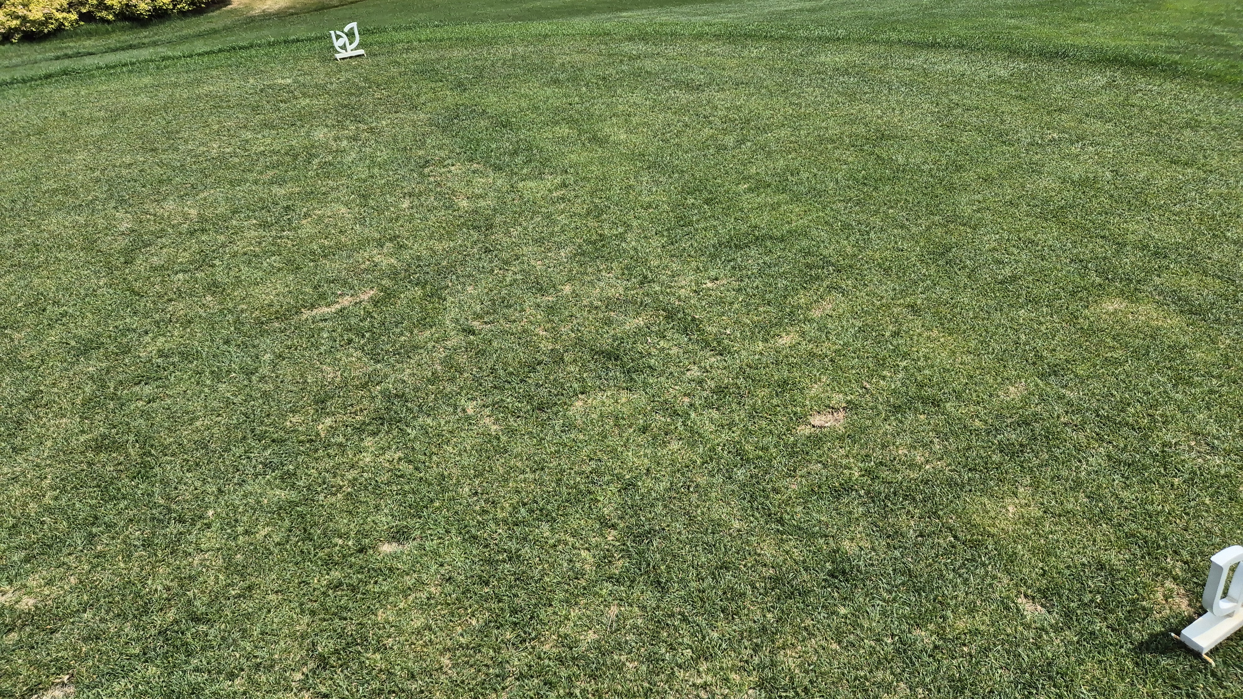 파인리즈cc 라운드 후기