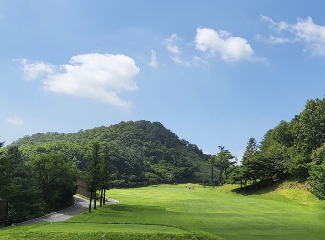 관리가 잘된 로제비앙CC 페어웨이