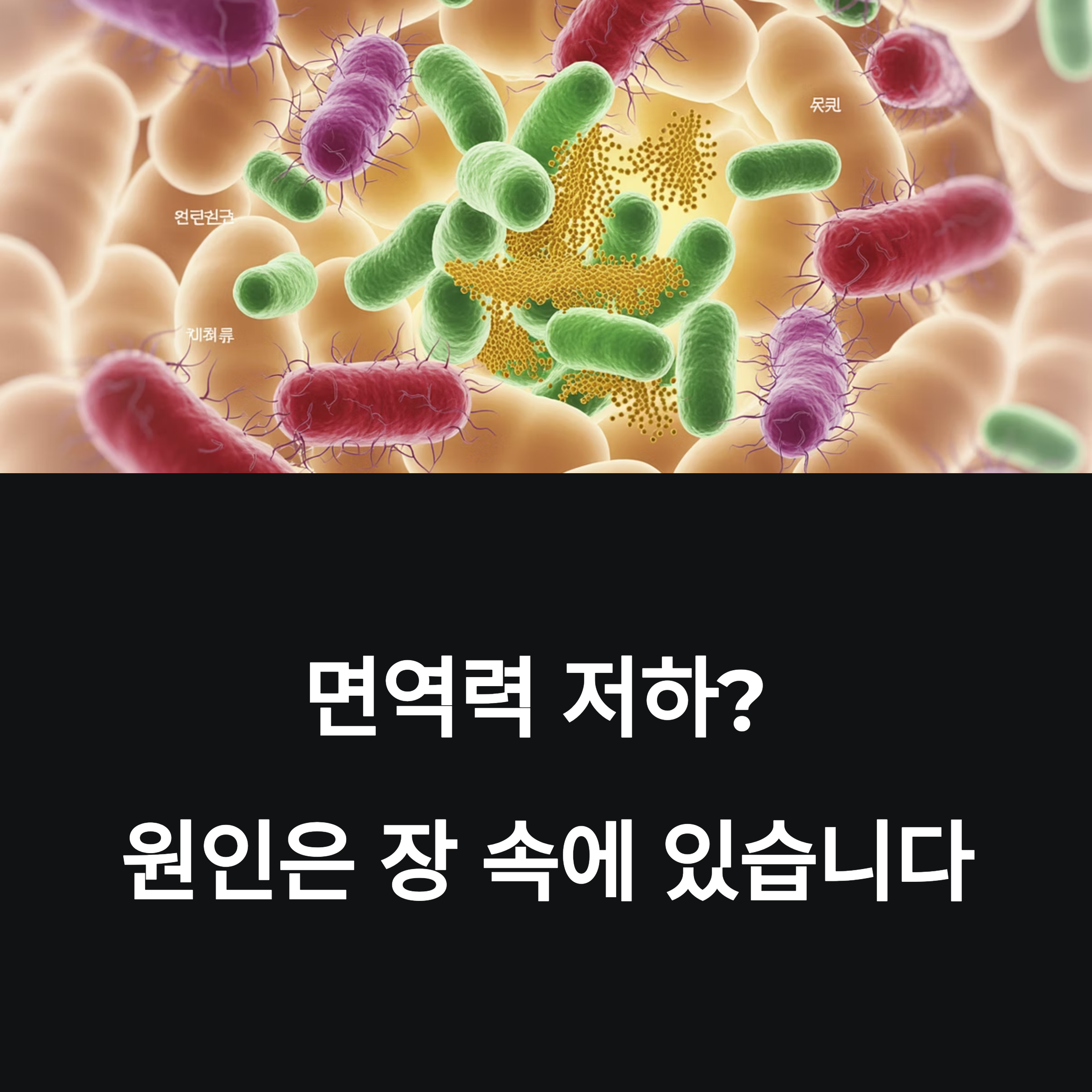 원인은 장 속 유해균 때문일 수 있습니다