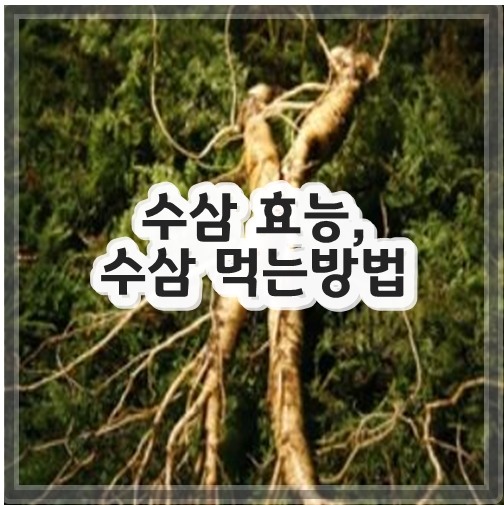 수삼 효능, 수삼 먹는방법