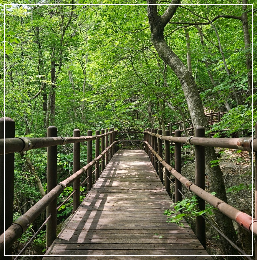 예산 가볼만한곳 베스트10 가야산 등산로