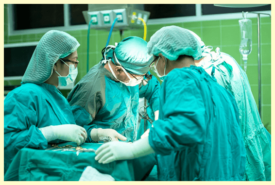 의료 서비스 이용