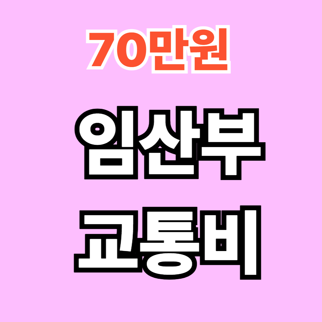 서울시 임산부 교통비 70만원 신청방법! 택시, 주유비, 기후동행카드까지 총정리