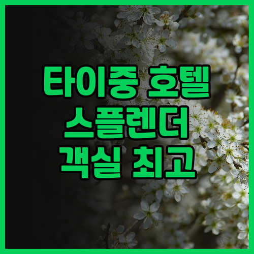 더 스플렌더 호텔 타이중 후기 넓고
