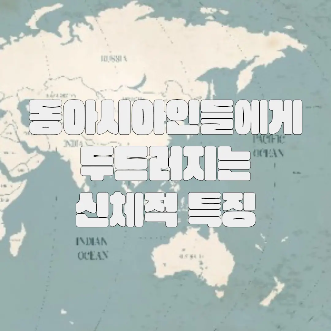 동아시아인 신체적 특징