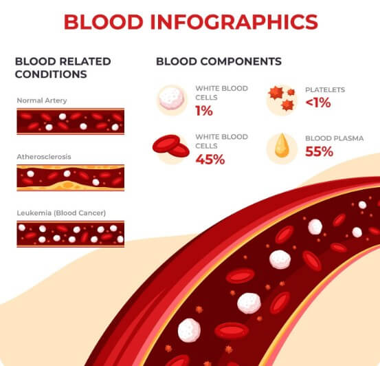 혈관에 있는 노폐물이 흘러가는 모습