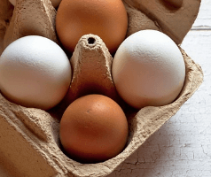 통풍 좋은 음식