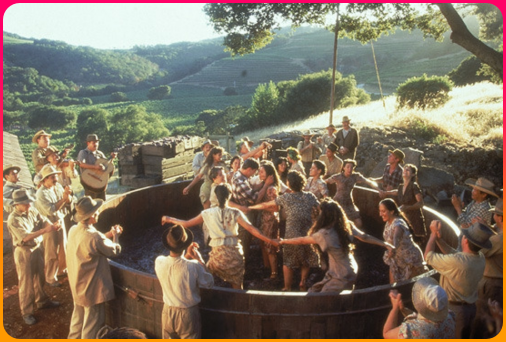 음악에_맞춰_포도를_밟는_장면이_인상적