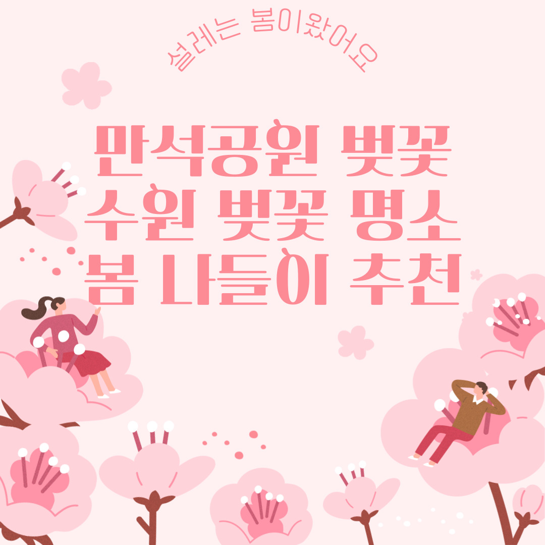 만석공원 벚꽃 수원 벚꽃 명소