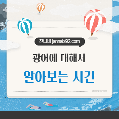 광어에 대해서