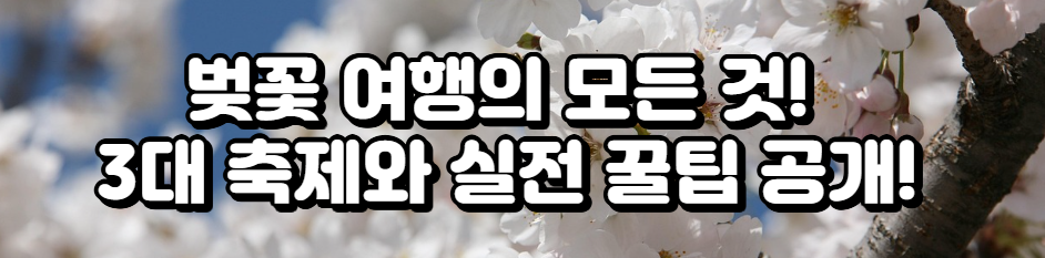 벚꽃 여행의 모든 것! 3대 축제와 실전 꿀팁 공개!