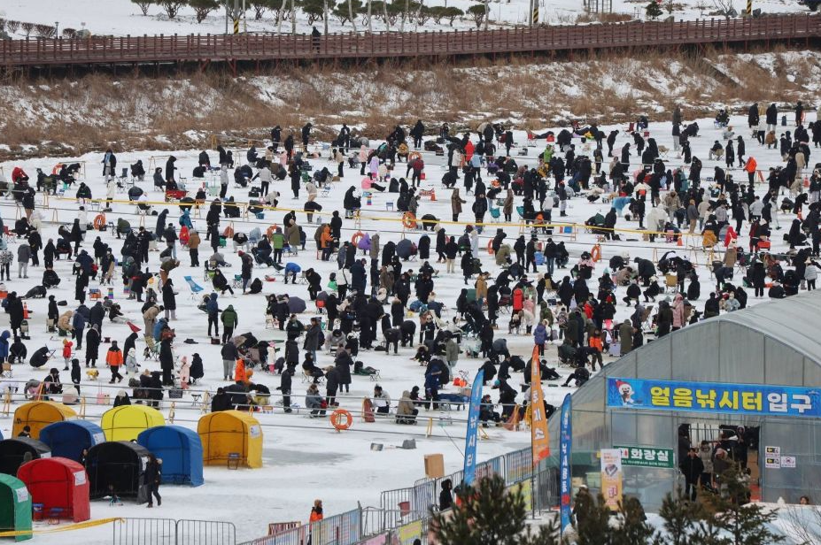 평창 송어 축제