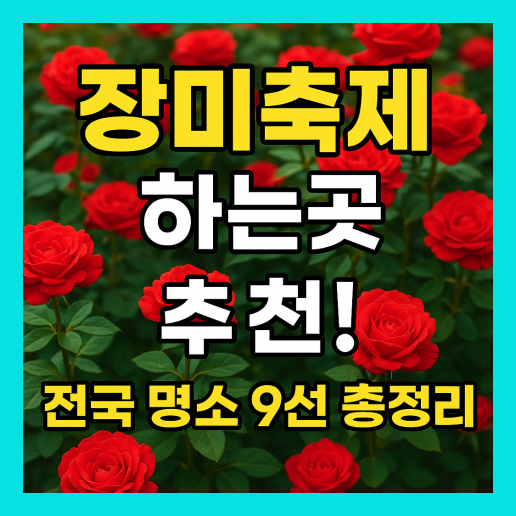 장미축제 하는곳