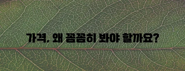 호관원 가격, 꼼꼼히 알아봐야죠!