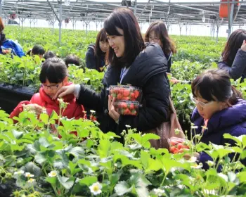 양평딸기 송어축제_15