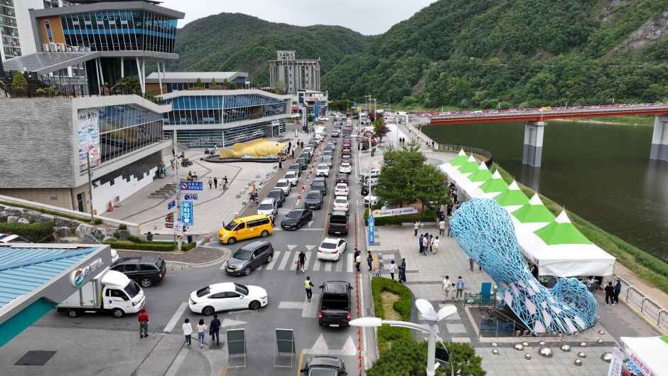 단양 소백산 철쭉 축제 2026 총정리