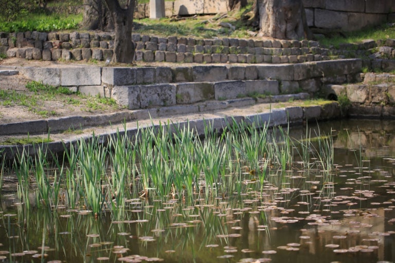엄마를 위해 만들었다는 연경당과 불로문