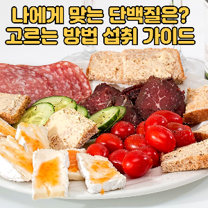 단백질 고르는 방법