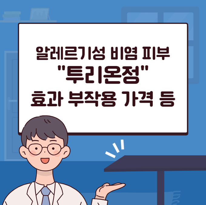 투리온정 효과 부작용 가격 복용법 비염 피부 알레르기약 알러지약