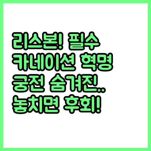 리스본 숙소 근처 상 벤투 궁전 카네..