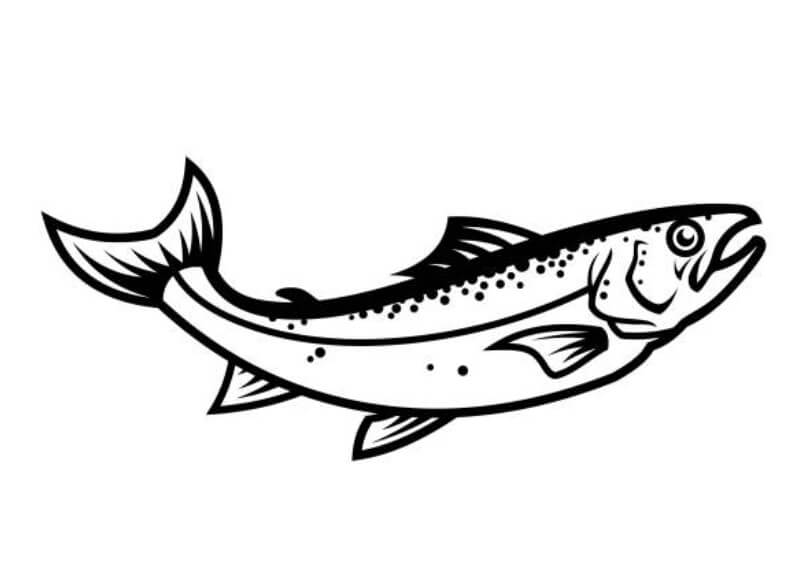 물고기 잡는 꿈