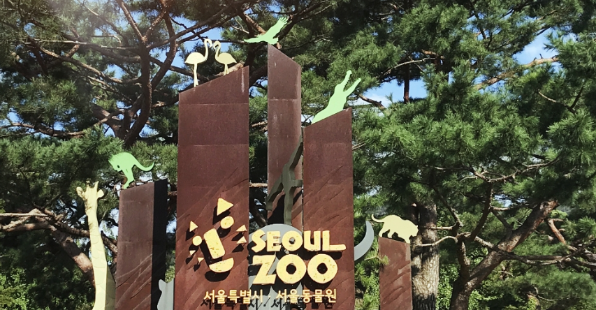 서울대공원 어린이날 행사 '모여라! 대공원'