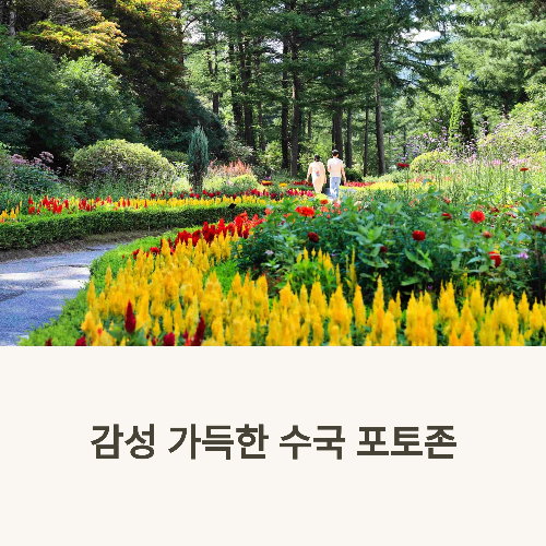 아침고요수목원 수국전시회