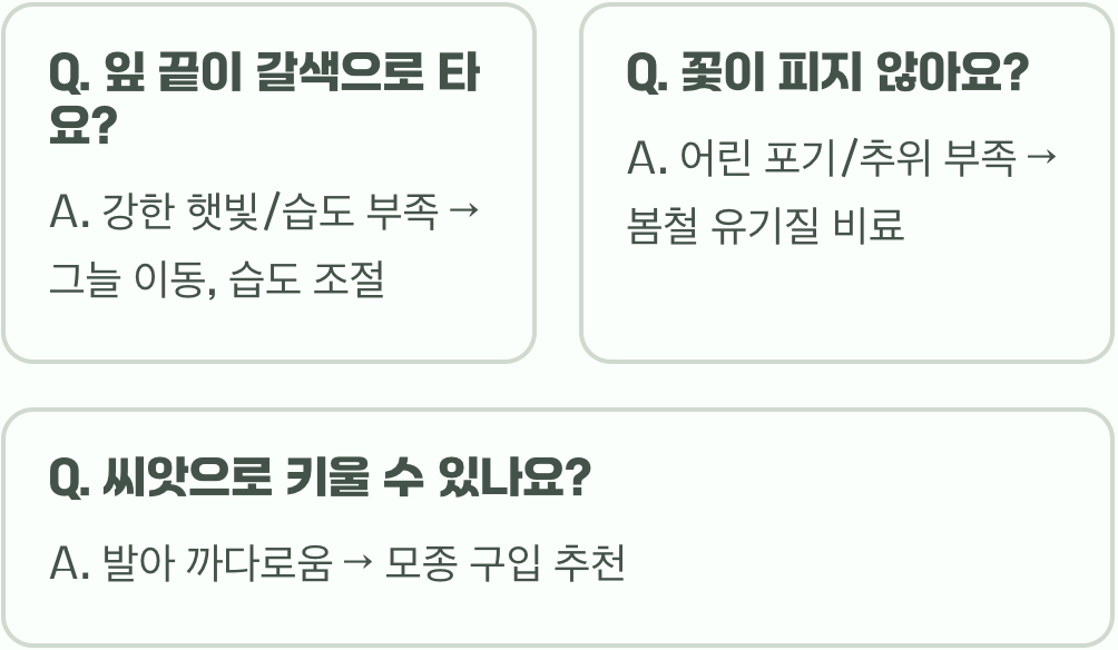 약초의 왕, 삼지구엽초 집에서 키우기 A to Z