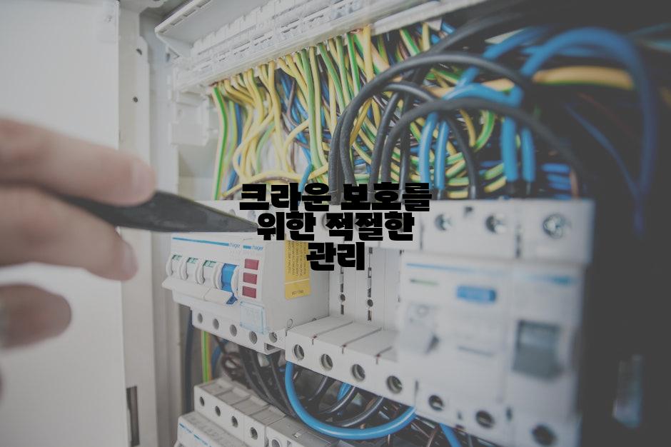 크라운 보호를 위한 적절한 관리