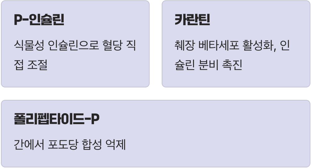 쓴맛 속에 숨겨진 3가지 비밀 병기