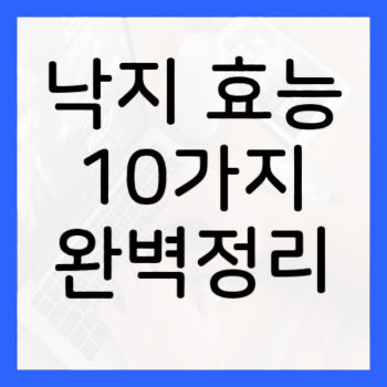 낙지-효능-썸네일