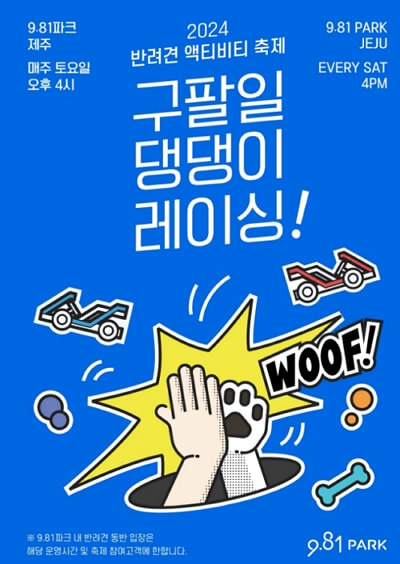 제주 반려동물 동반여행 구팔일 댕댕이 레이싱