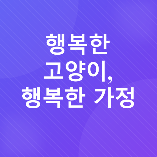 고양이 스트레스 관리_4