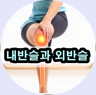 무릎 관절 통증 치료,
O다리 교정 운동,
X자 다리 교정법,
관절염 예방 자연요법,
무릎 연골 재생 음식,
체형 교정 스트레칭,
무릎 건강에 좋은 한방 약초,
관절 영양제 추천,
퇴행성 관절염 초기 증상,
바른 걸음걸이 교정법,