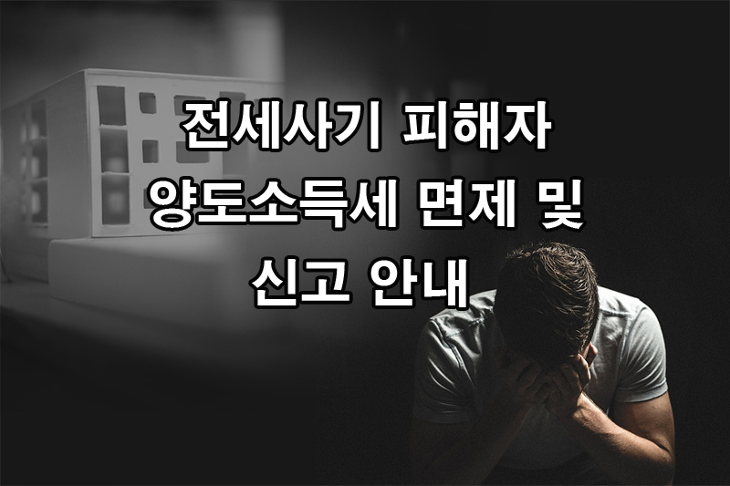 전세사기 피해자 양도소득세 면제 및 신고 안내