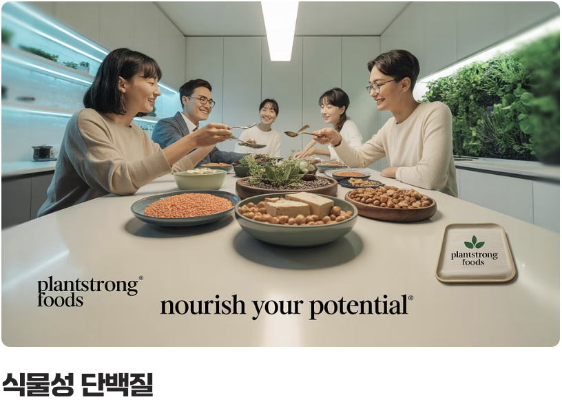 동물성 vs 식물성, '균형'이 중요