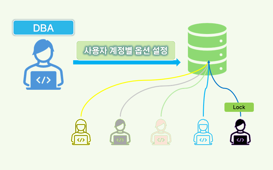 MySQL 사용자 계정 옵션.