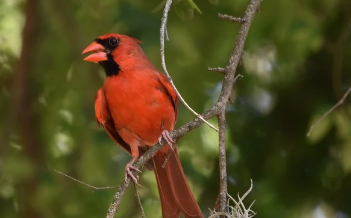 기초연금 수급자격 재산 바로 보기 15