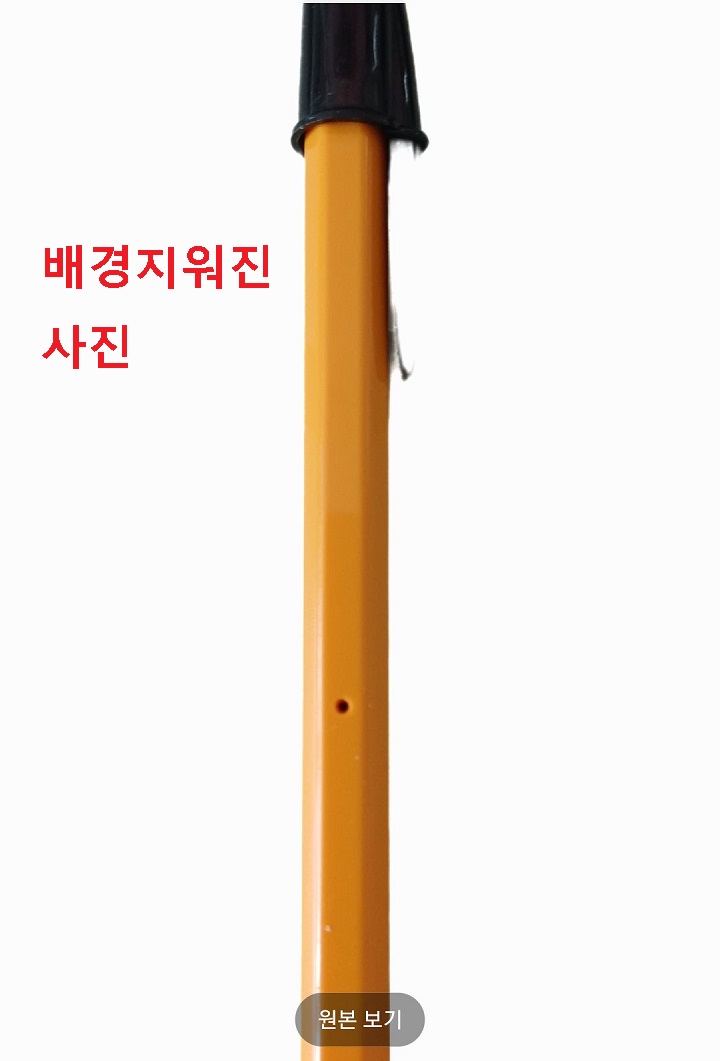 배경지워진 사진 보임